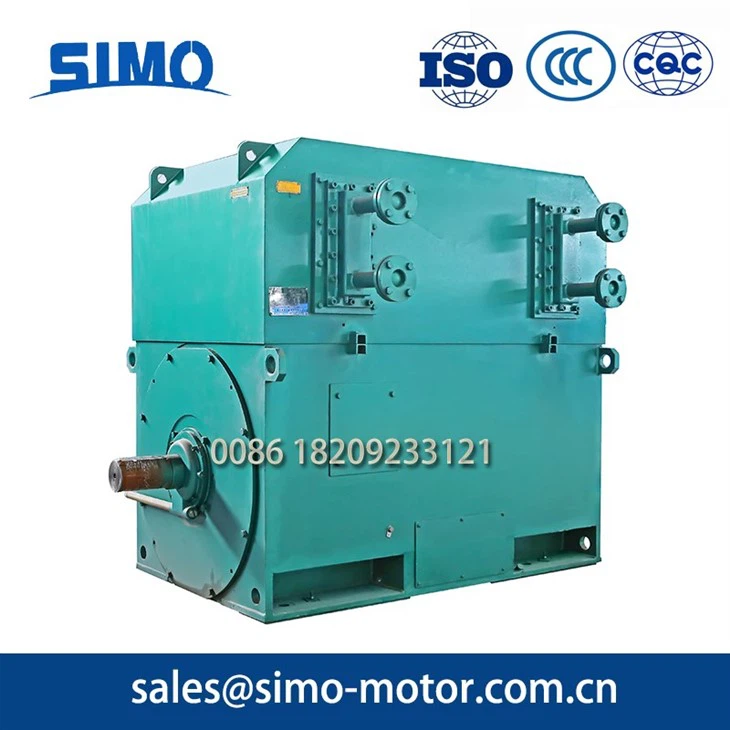 Energy Efficient High Voltage Motor