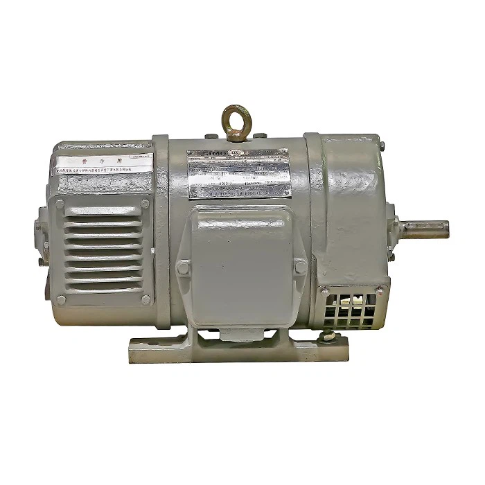 ZTP Series Locomotive DC Motor